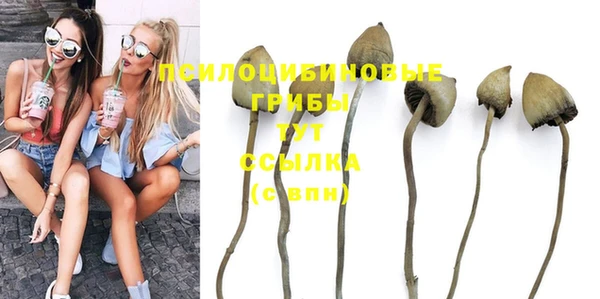 PSILOCYBIN Заволжск