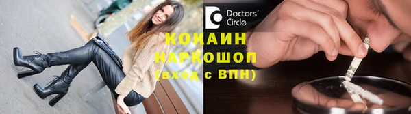 ПСИЛОЦИБИНОВЫЕ ГРИБЫ Заводоуковск