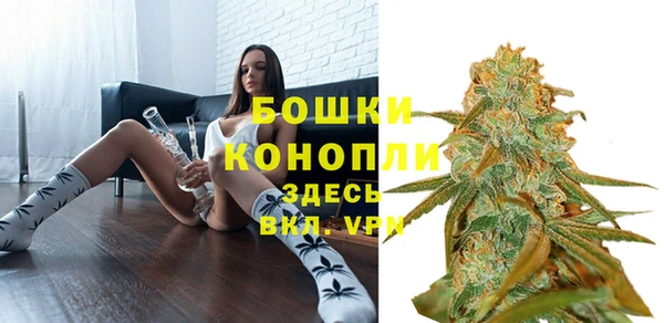 амф Елизово