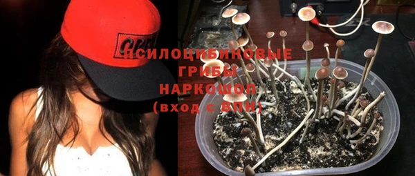 PSILOCYBIN Заволжск