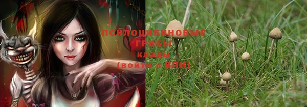 PSILOCYBIN Заволжск