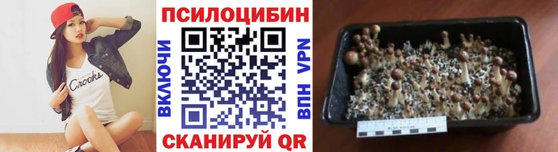 Купить закладки  Карабаш  Галлюциногенные грибы ЛСД 